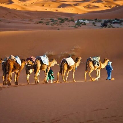 desert merzouga