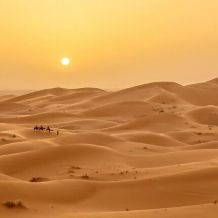 merzouga desert