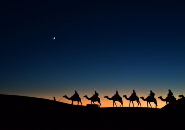 desert night