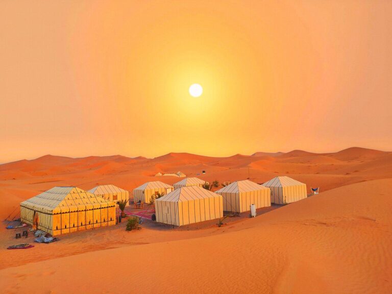 campamentos del desierto